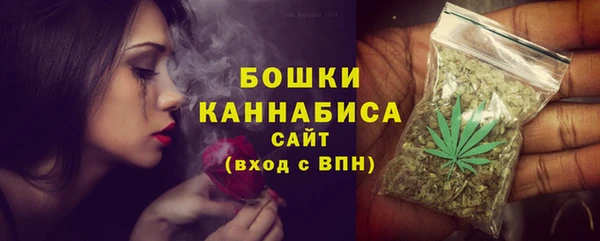 спиды Лиски