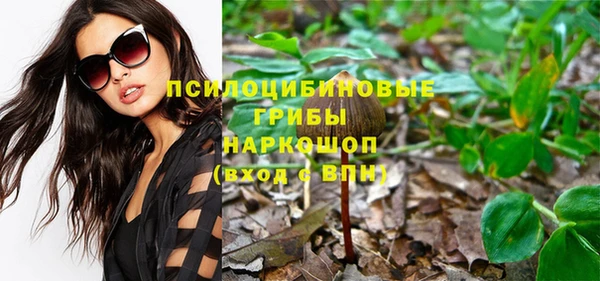 спиды Лиски