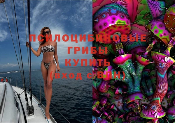 apvp Липки