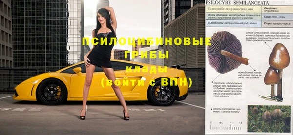 спиды Лиски