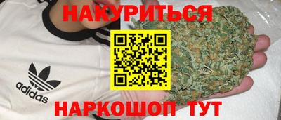 наркотики Кингисепп