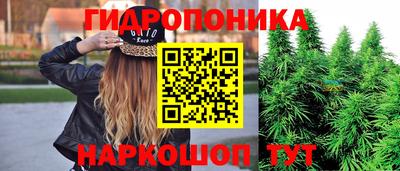 mdma Кандалакша