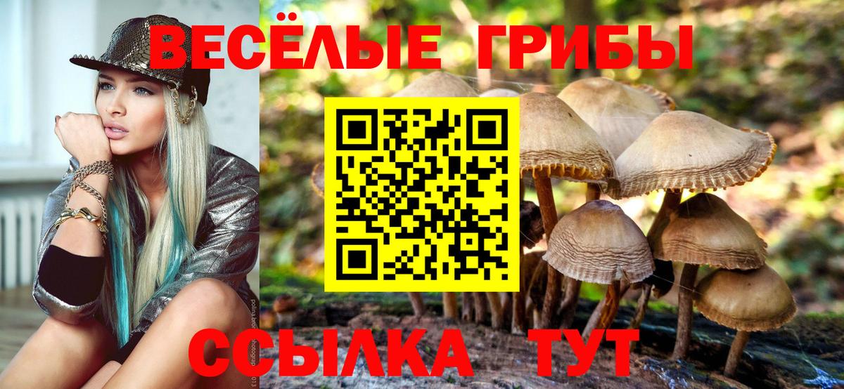 Галлюциногенные грибы ЛСД Новочеркасск