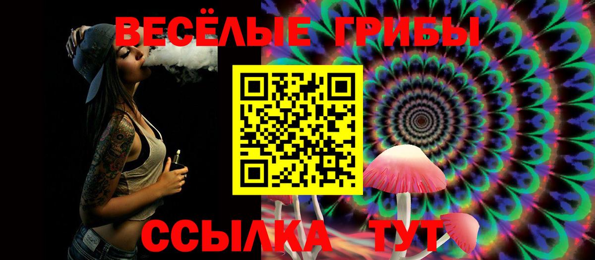 Новочеркасск  Псилоцибиновые грибы мухоморы  Вход с VPN  Псилоцибиновые грибы GOLDEN TEACHER 